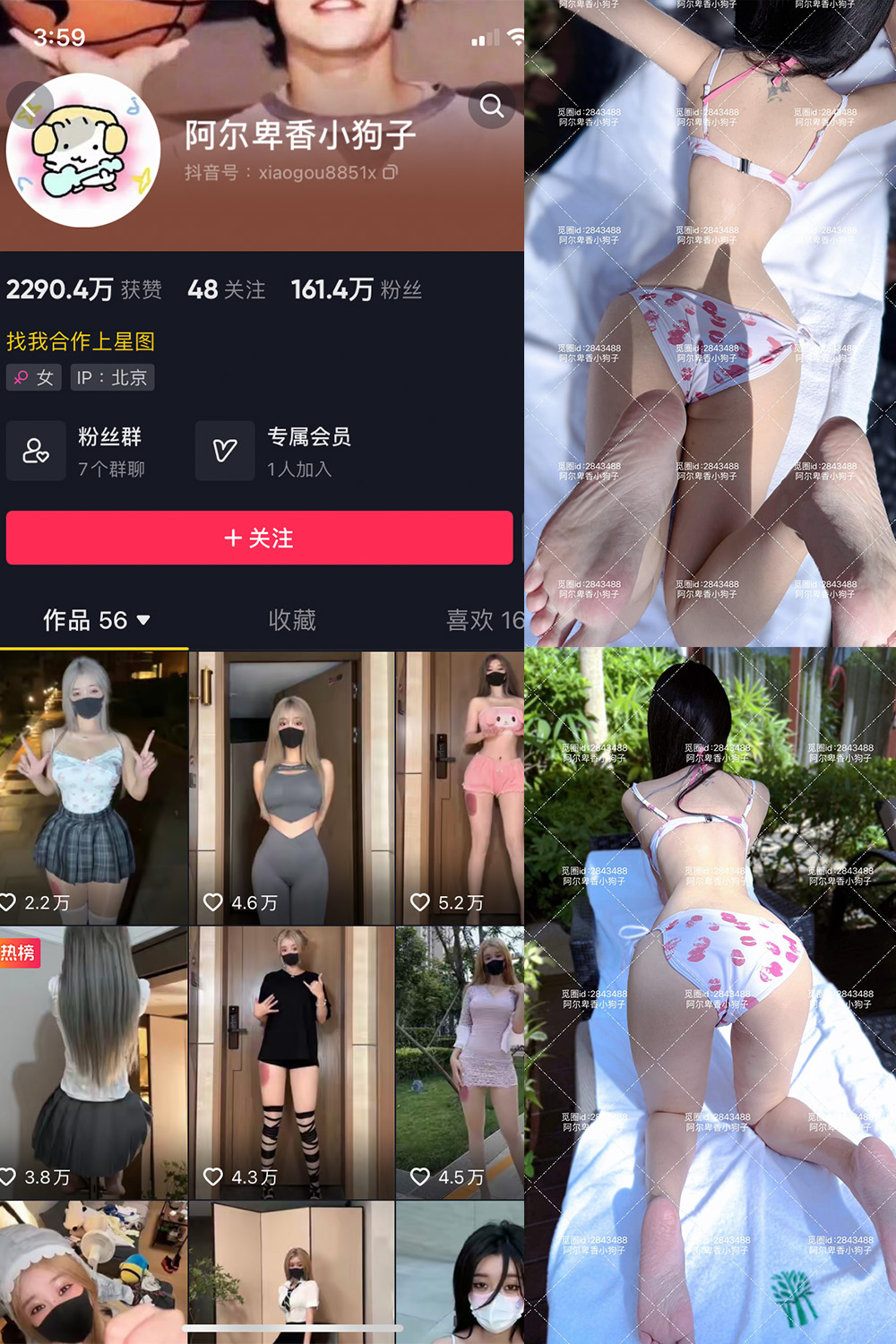 抖音 阿尔卑香小狗子 微密圈照片资源 NO.060期 【17P】最新至:2025.2.8 抖音 阿尔卑香小狗子 微密圈照片资源 NO.060期 【17P】最新至:2025.2.8