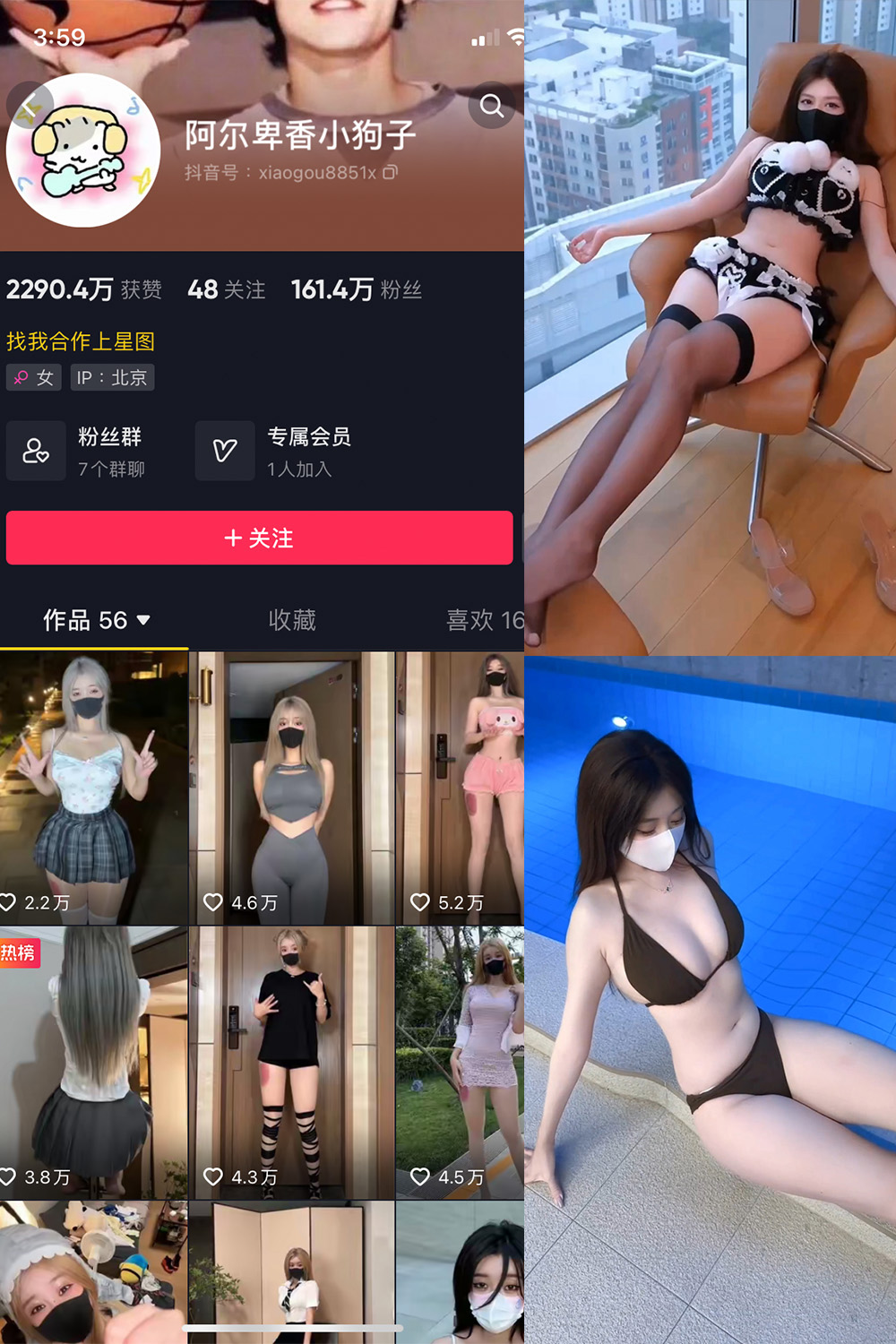 抖音 阿尔卑香小狗子 微密圈照片资源 | 觅圈  NO.062期 【8V】最新至：2025.5.22