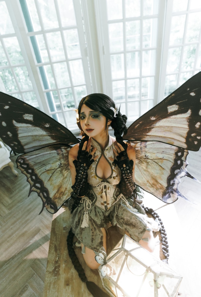 蠢沫沫 枯叶蝶来看看吧