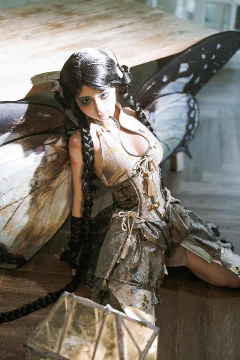 蠢沫沫 枯叶蝶来看看吧