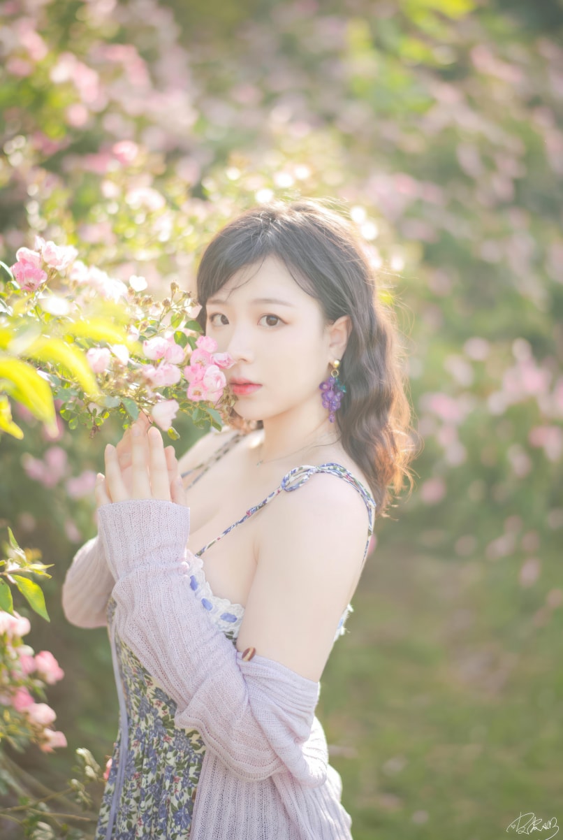 皮皮奶可可爱了啦 蔷薇花图片作品下载